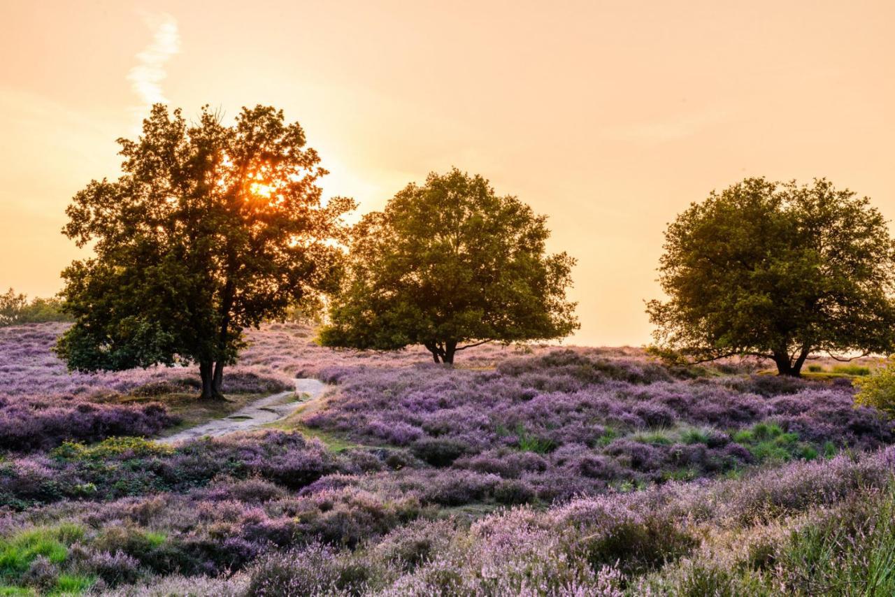 Vakantie Bij Meeussen - Schuttersoord Mook Экстерьер фото